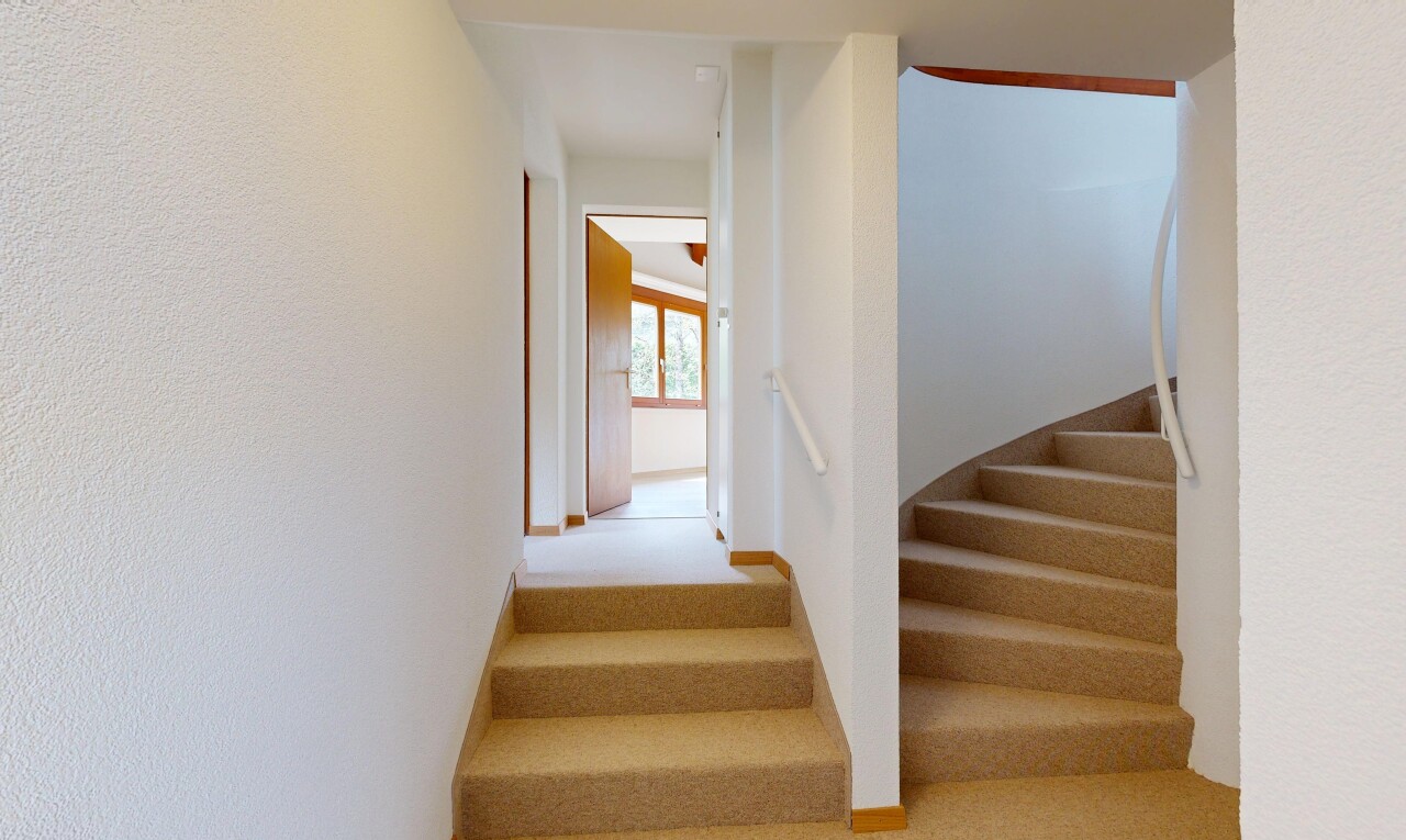treppe mit treppen, natural light, natürliches licht, inside property, und carpet