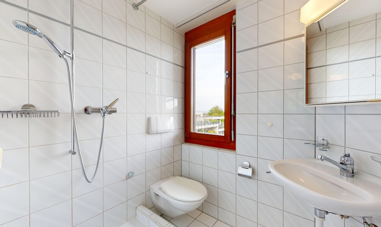 bad mit tile wall, fliesenwand, dusche, komplettes badezimmer, und natural light
