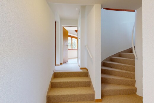 escaliers avec escaliers, natural light, lumière naturelle, inside property, et carpet