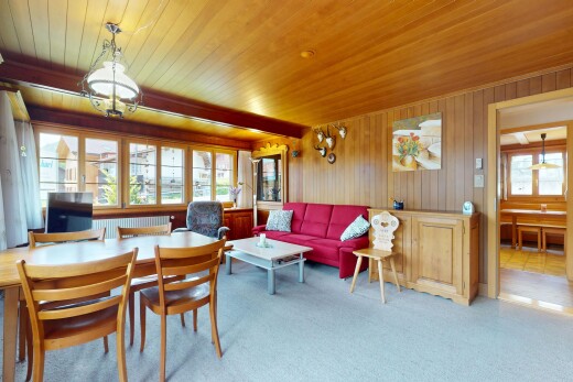 wohn- / esszimmer mit holzdecke, wood ceiling, natürliches licht, natural light, und fernseher
