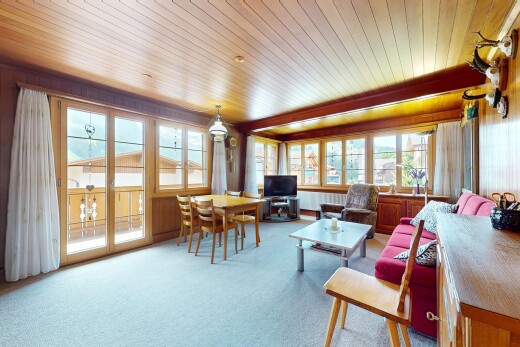 wohn- / esszimmer mit fernseher, wood ceiling, holzdecke, carpet, und teppich