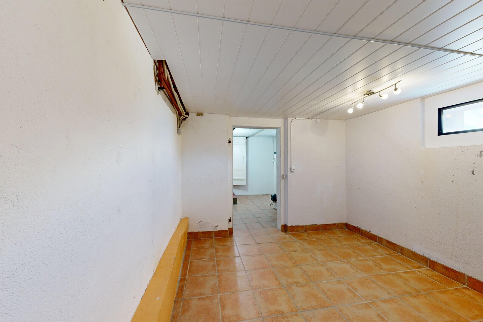 pièce vide avec éclairage sur rail, sous-sol, lumière naturelle, inside property, et light floor
