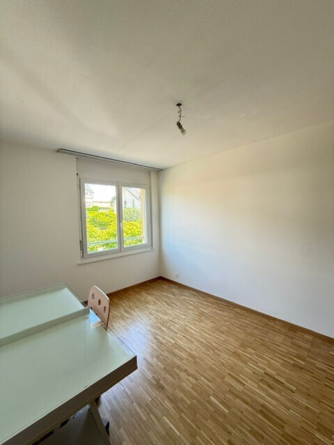 pièce vide avec cloison sèche, drywall, inside property, lumière naturelle, et natural light