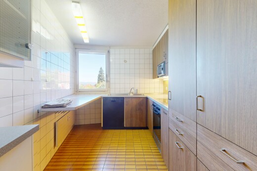 küche mit natural light, natürliches licht, geschirrspülmaschine, tile wall, und fliesenwand