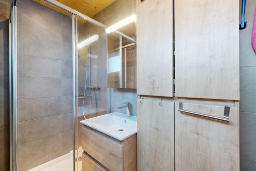 bad mit dusche, waschbecken, schminktisch, und spiegel