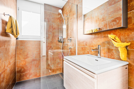 bad mit fliesenwand, tile wall, spiegel, dusche, und schminktisch