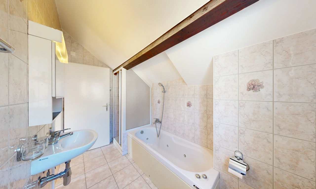 salle de bains avec douche, mur en carrelage, tile wall, plafond voûté, et vaulted ceiling