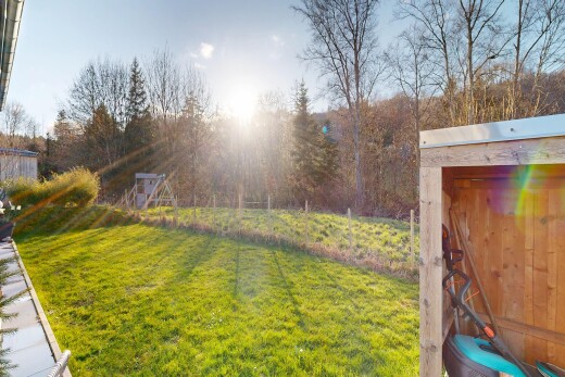 jardin avec pelouse et day time