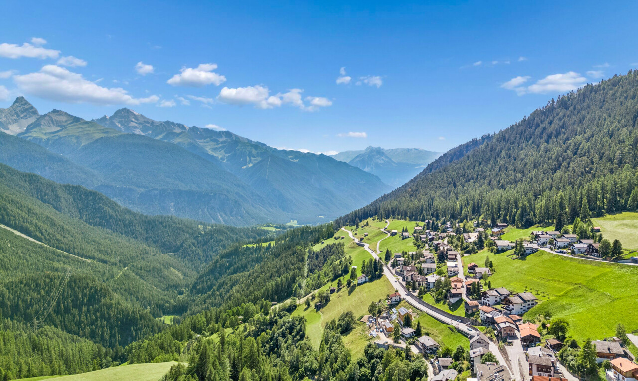 blick auf die berge mit mountain view, blick auf die berge, forest view, waldblick, und day time