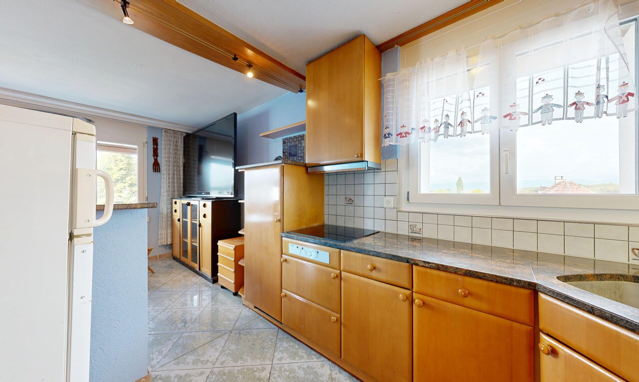 küche mit deckenbeleuchtung, küchenrückwand beim Herd, küchenrückwand beim herd, kühlschrank, und fernseher