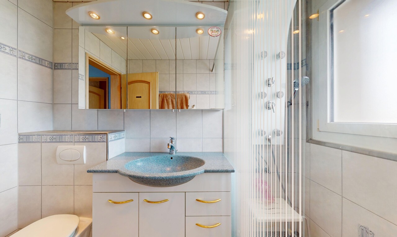 bad mit tile wall, fliesenwand, schminktisch, spiegel, und dusche