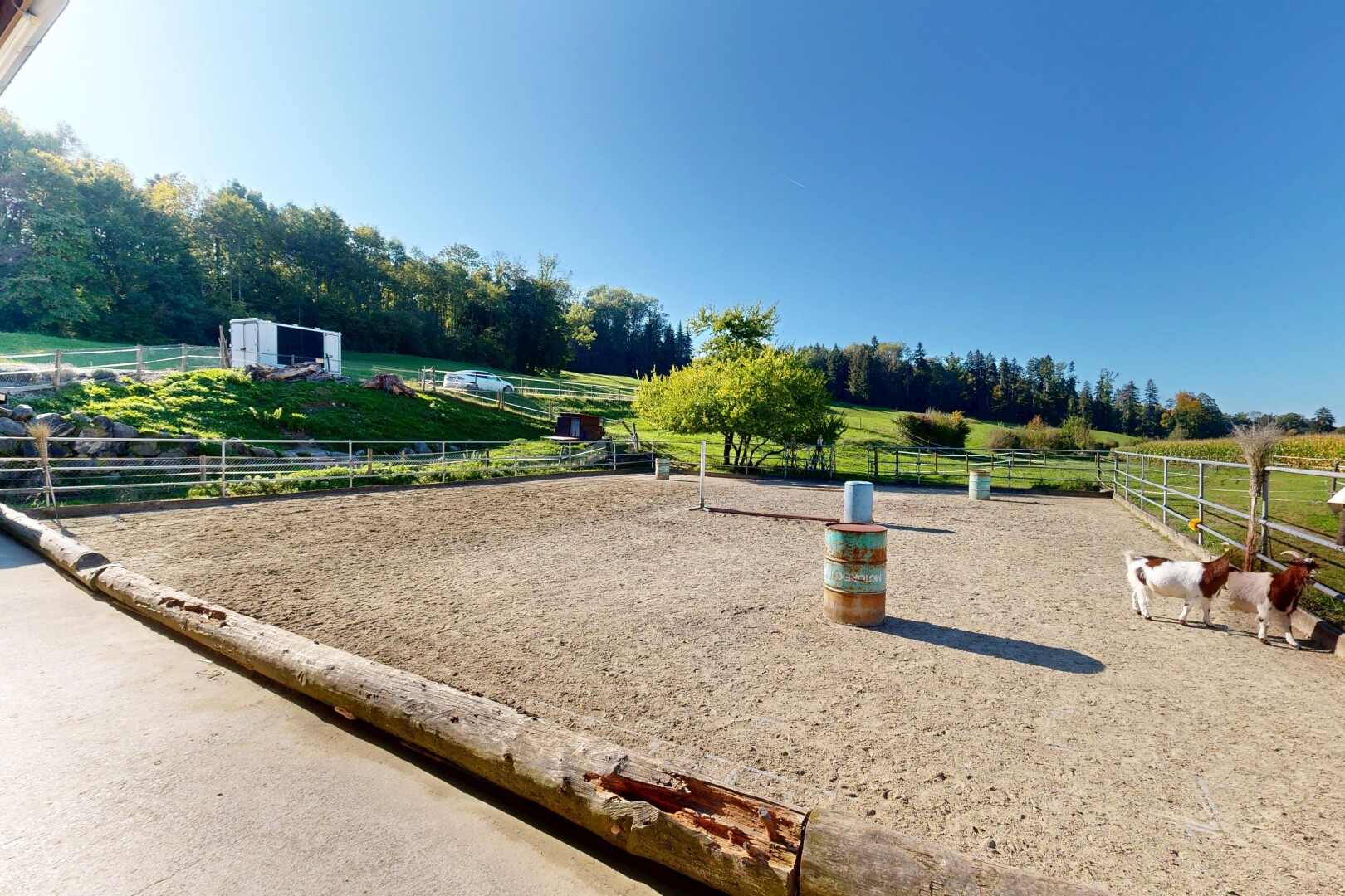 terrasse avec manège extérieur, animal, day time, clôture, et animal farm