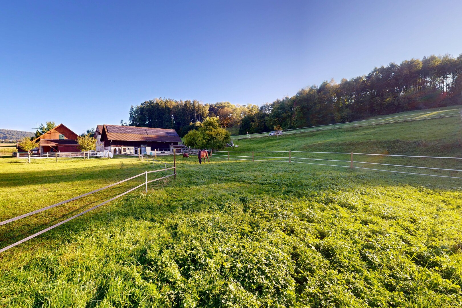 jardin avec rural view, vue rurale, day time, animal farm, et animal
