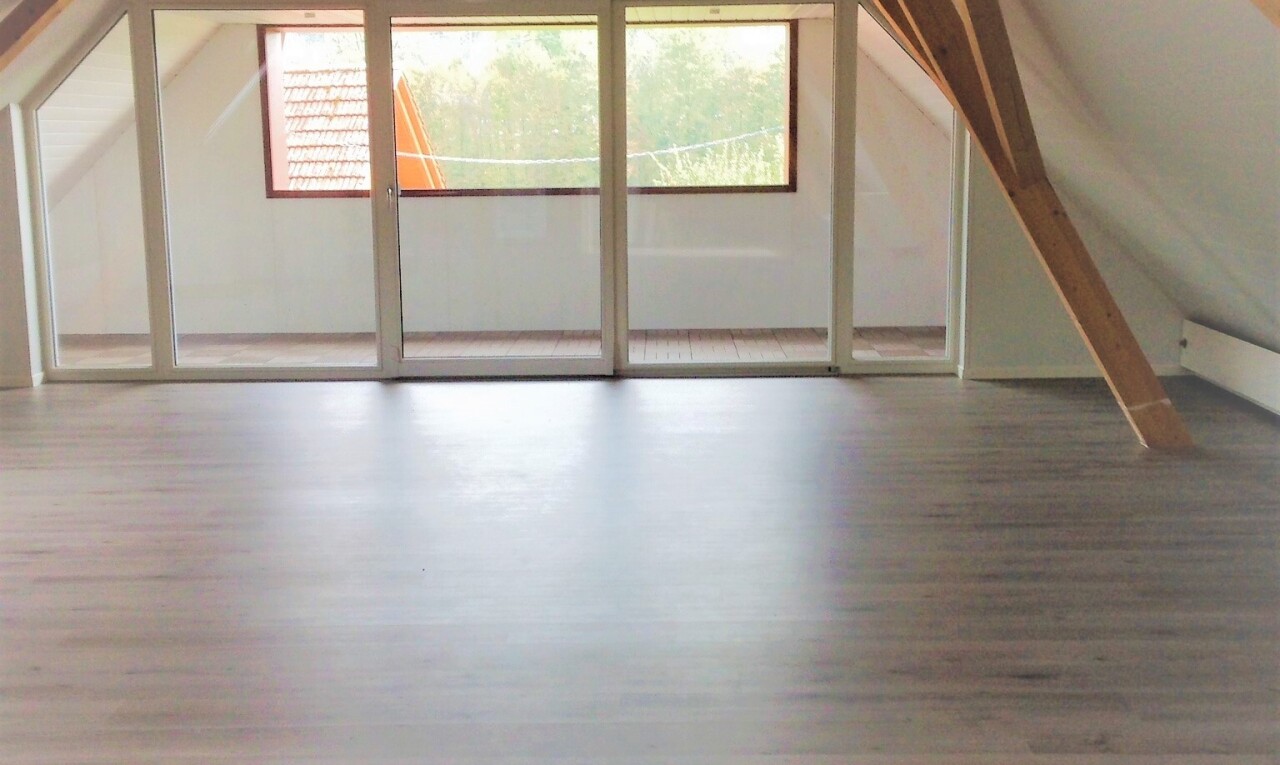 pièce vide avec plafond voûté, lumière naturelle, vaulted ceiling, natural light, et plafond bas