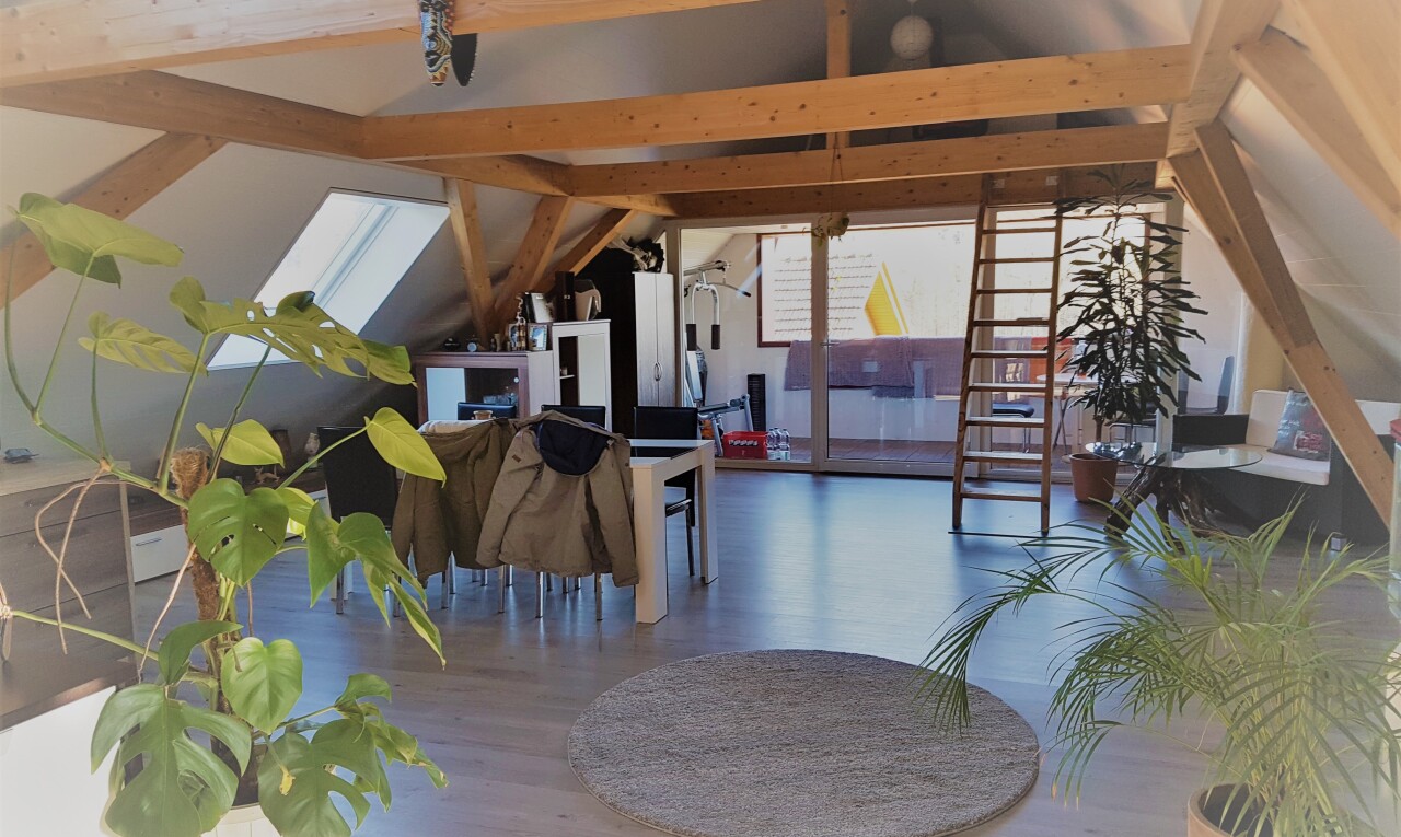 salon / salle à manger avec vaulted ceiling, plafond voûté, inside property, puits de lumière, et wood finish floor