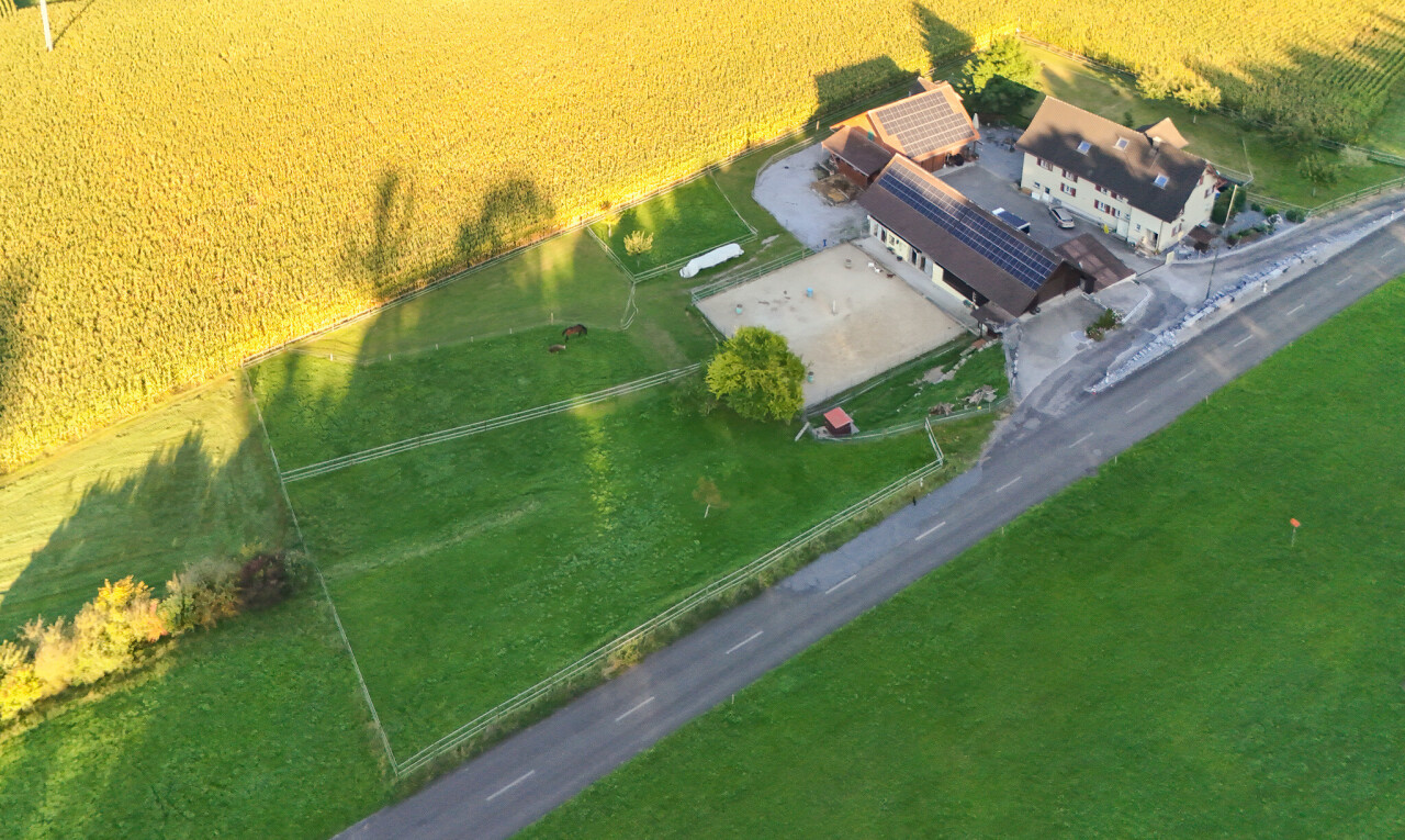 documents