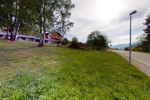 view of street with a yard