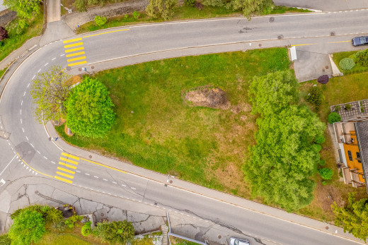 vögel augensicht des eigentums