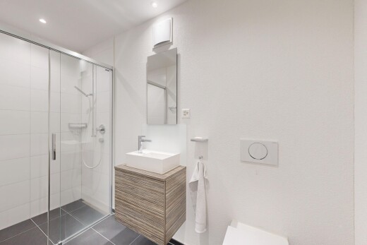 salle de bains avec douche, miroir, salle de bain complète, évier, et lavabo (ou coiffeuse selon le contexte)