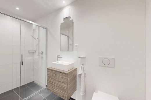 bad mit dusche, spiegel, komplettes badezimmer, waschbecken, und schminktisch