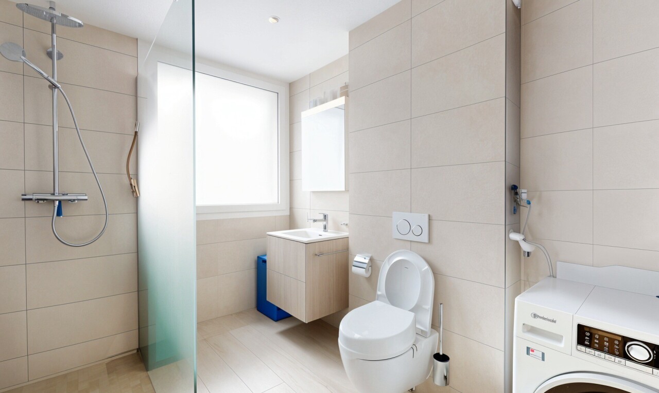 bad mit tumbler, fliesenwand, tile wall, dusche, und natürliches licht