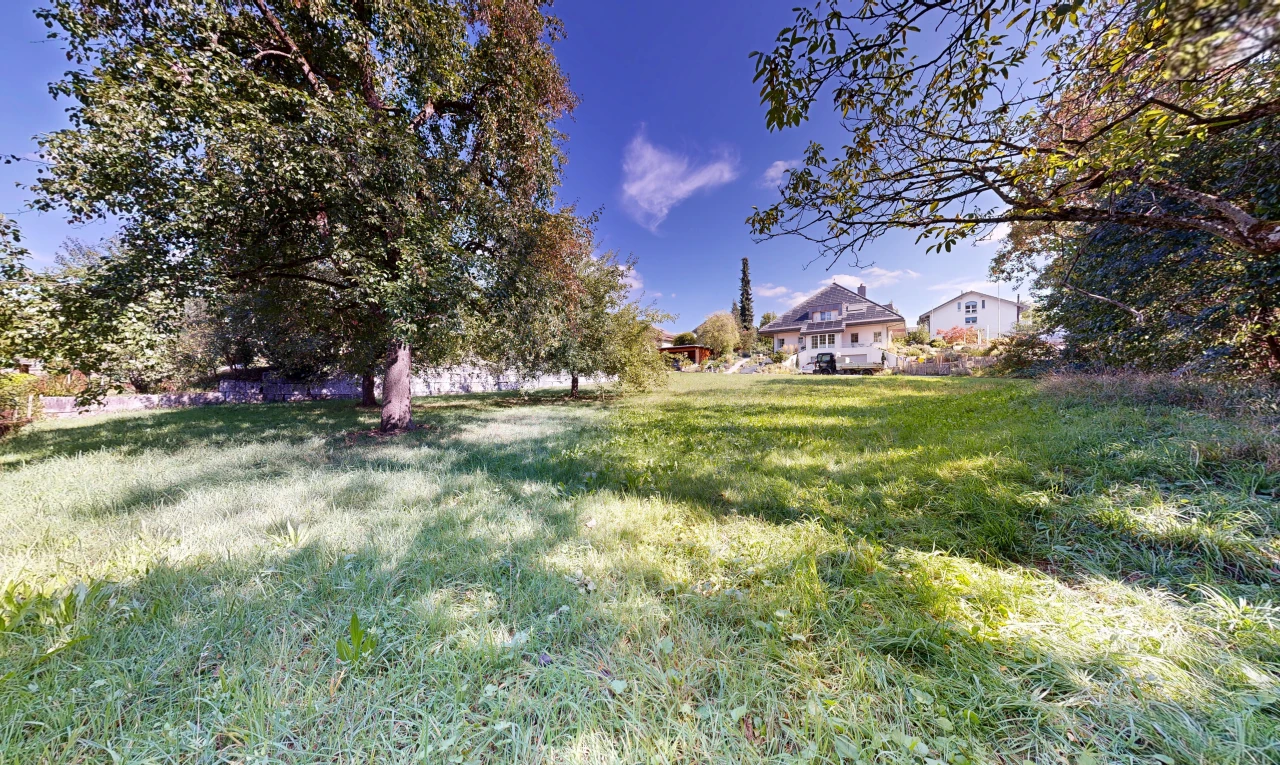 jardin avec day time, property visible, et pelouse