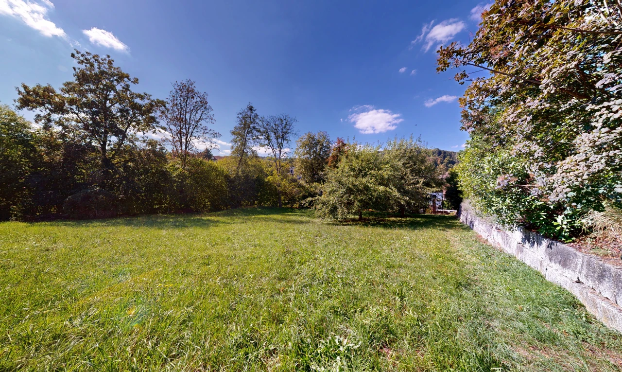 jardin avec pelouse et day time