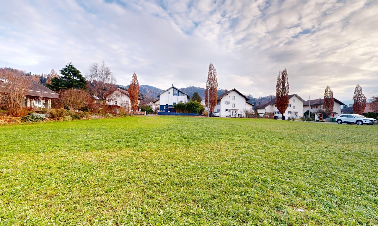 jardin avec pelouse, vue résidentielle, residential view, et day time
