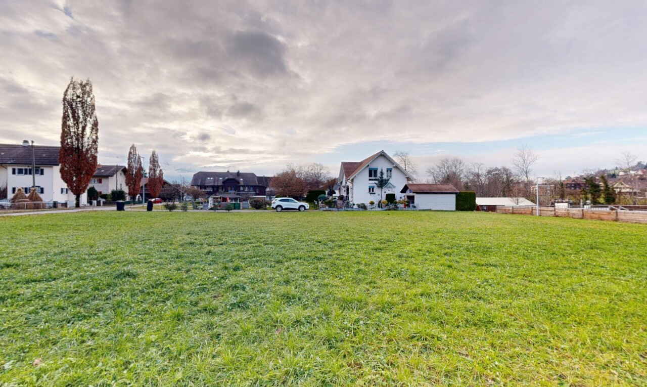 jardin avec pelouse et property visible