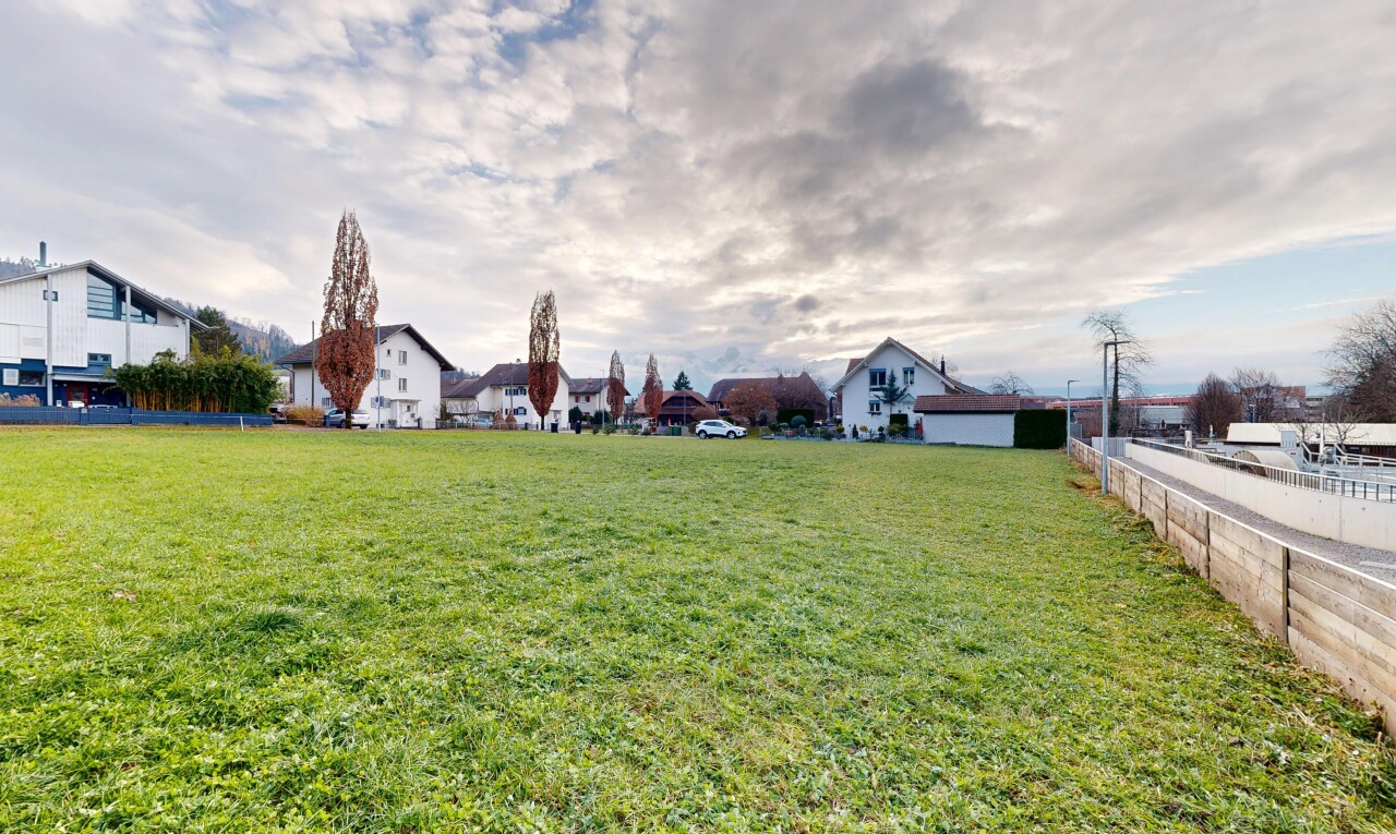 jardin avec pelouse et power lines view