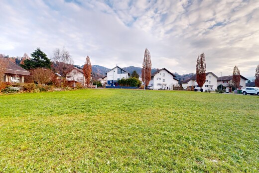jardin avec pelouse, vue résidentielle, residential view, et day time