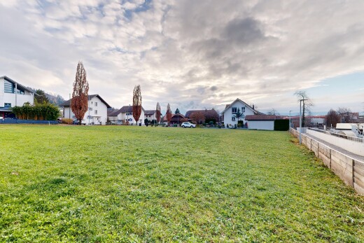 garten mit rasen und power lines view