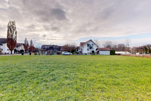 jardin avec pelouse et property visible