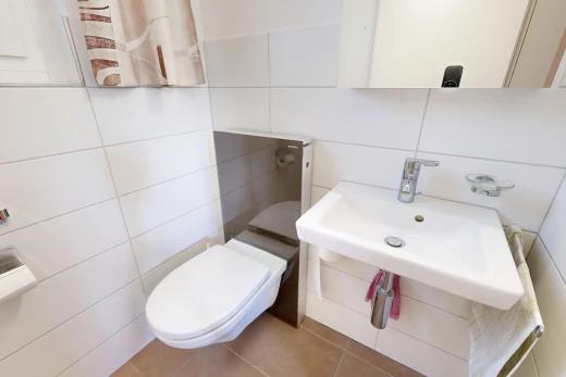 salle de bains avec toilette, évier, miroir, tile wall, et mur en carrelage
