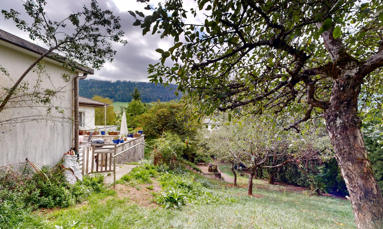 jardin avec from property, overcast, forest view, vue sur la forêt, et terrasse