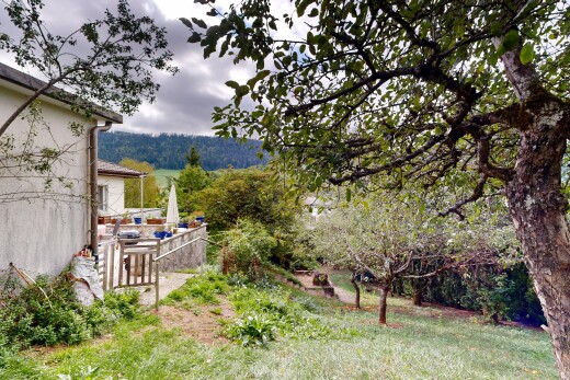 jardin avec from property, overcast, forest view, vue sur la forêt, et terrasse