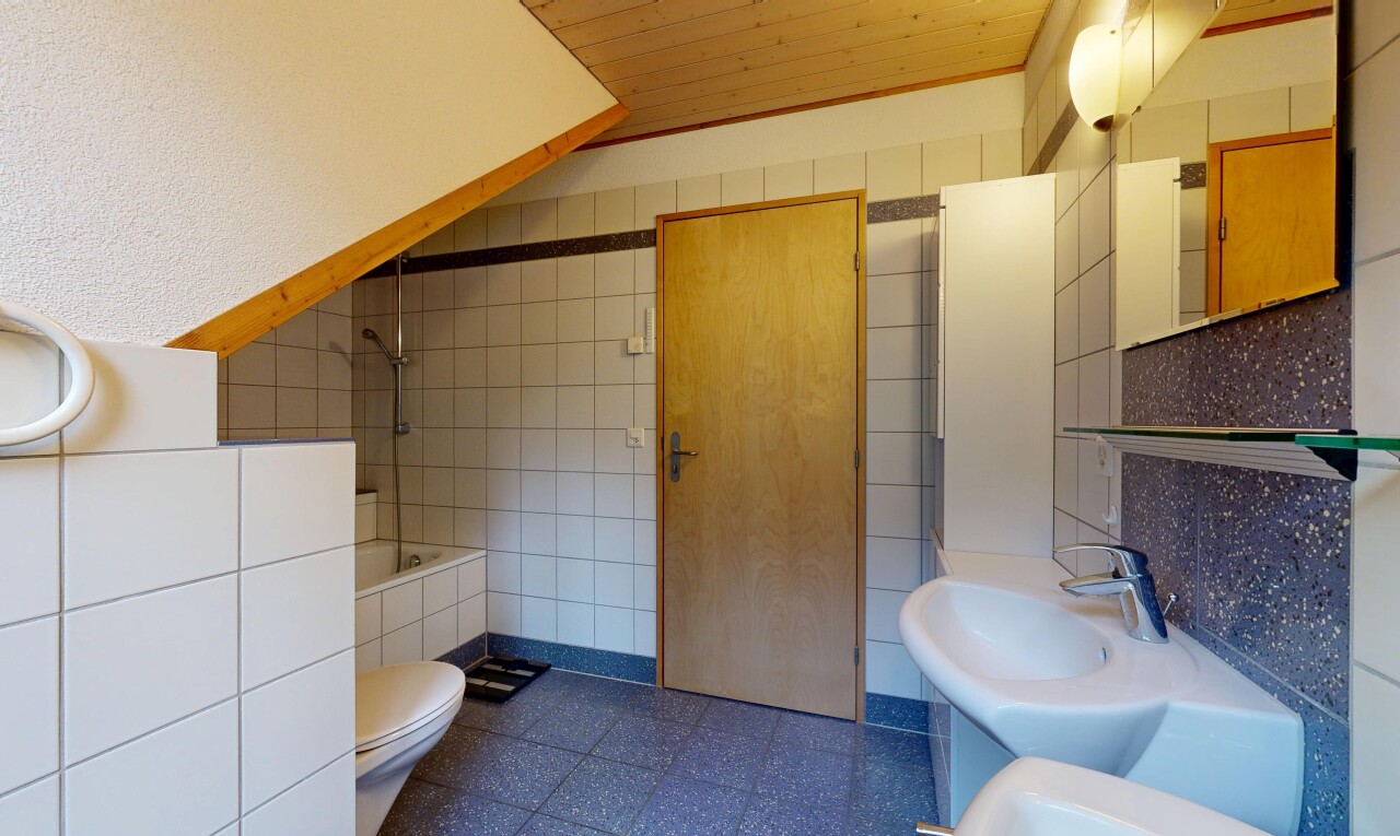 bad mit fliesenwand, tile wall, dark floor, komplettes badezimmer, und toilette