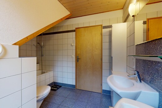 bad mit fliesenwand, tile wall, dark floor, komplettes badezimmer, und toilette