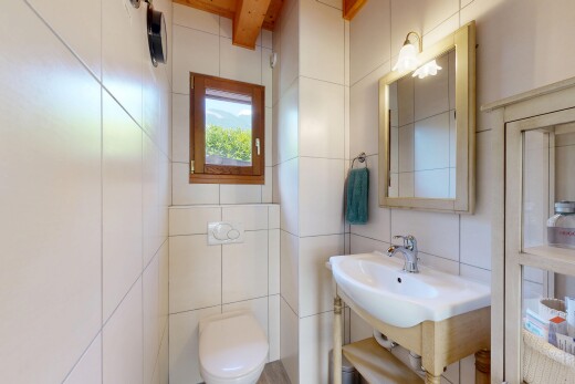 bad mit spiegel, gäste-wc, waschbecken, natural light, und natürliches licht