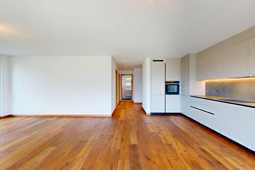 küche mit flat panel cabinets, schränke mit flachen paneelen, holzfußboden, wood finish floor, und ofen