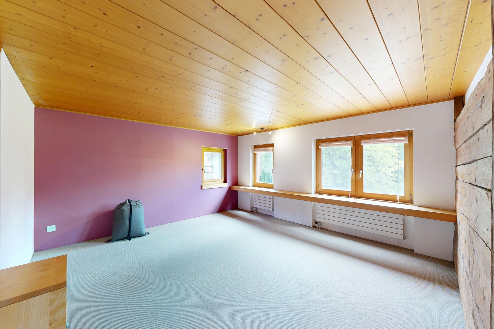 leerer raum mit holzdecke, wood ceiling, teppich, carpet, und natürliches licht