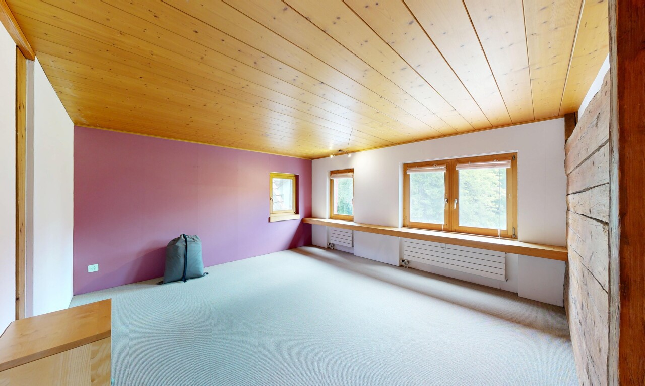 leerer raum mit holzdecke, wood ceiling, teppich, carpet, und natürliches licht