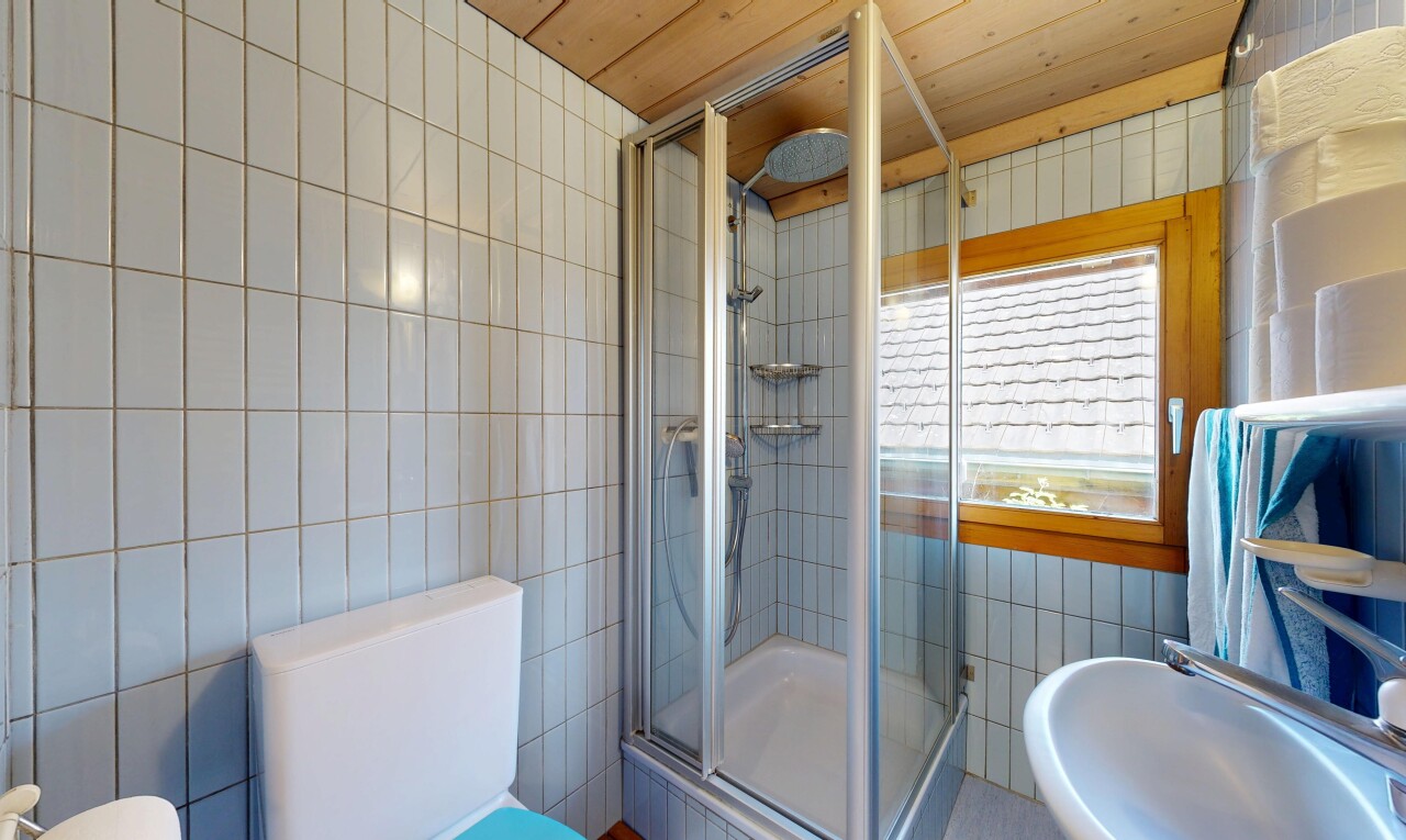 bad mit dusche, tile wall, fliesenwand, komplettes badezimmer, und wood ceiling