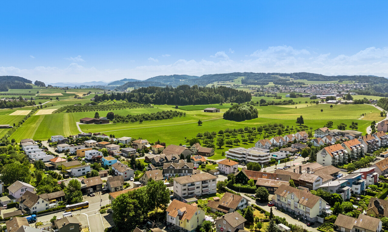 mountain view