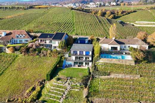 außenansicht mit orchard / agricultural view, blick auf obstgarten/agrarland, zaun, rural view, und ländliche aussicht