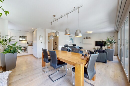 wohn- / esszimmer mit holzfußboden, wood finish floor, light floor, natürliches licht, und natural light