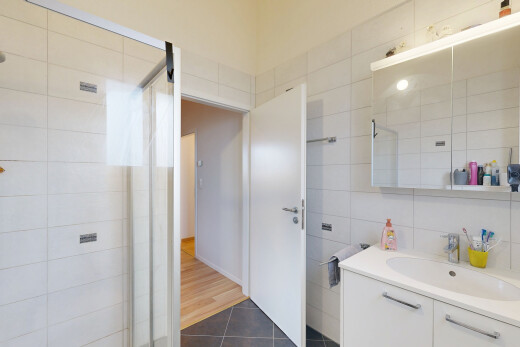 salle de bains avec douche, évier, miroir, salle de bain complète, et tile wall