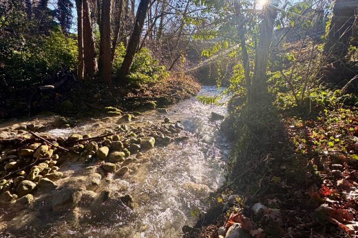 garten mit day time und creek / stream view