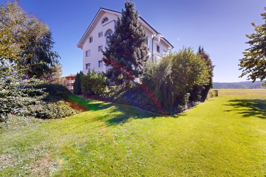 garten mit rasen und day time