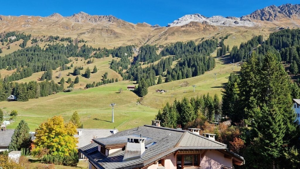 mountain view